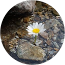 Kévin Boucard profile picture